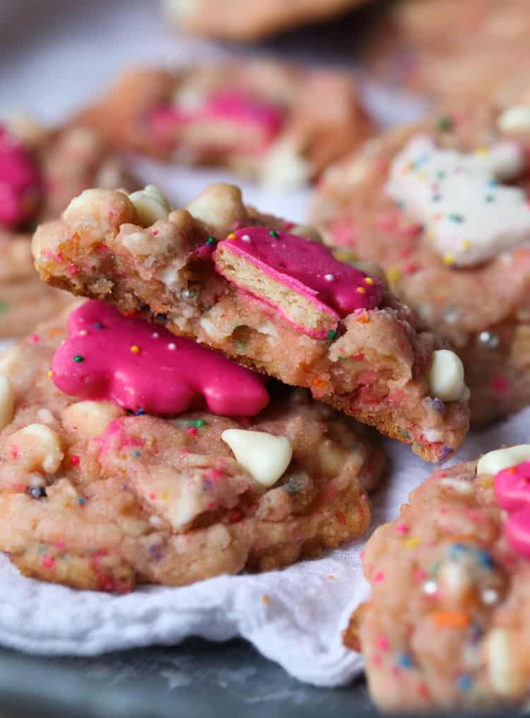 Circus cookie