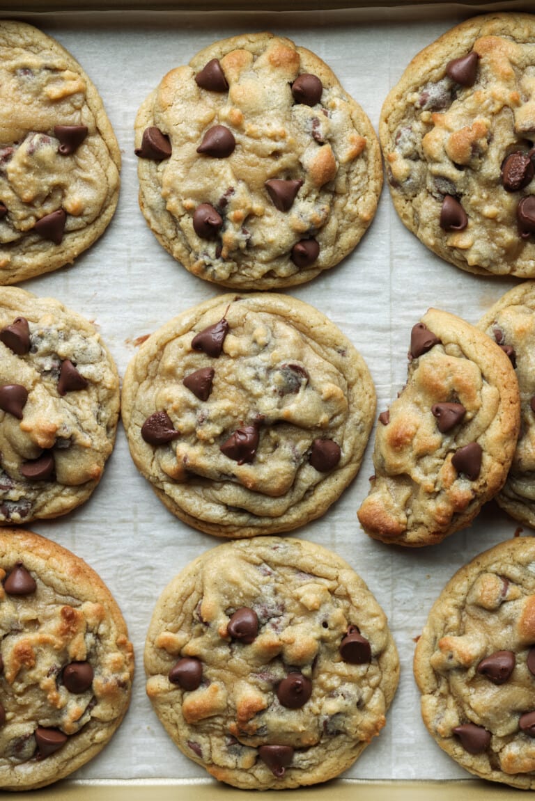 Chocolate chip cookie